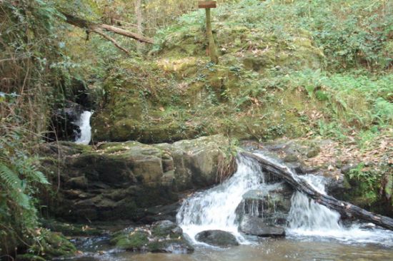 Les amateurs de nature apprécieront les sentiers de randonnée ou les petits ruisseaux en sous bois. Dans un autre format , les cascades de Gimel, la vallée de l'Auvézère avec ses forges, signes d'une autre époque, plus loin la Vallée de la Dordogne avec ses promenades en gabares, souvenir d'une époque faste